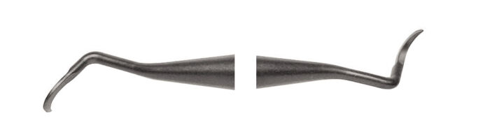 204 Posterior - Image 2