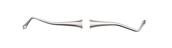 21 Acorn - Image 2