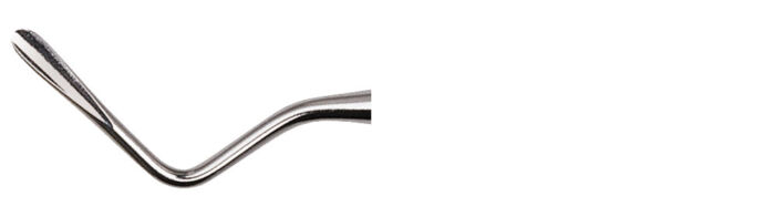302 B Apical Blunt - Image 2