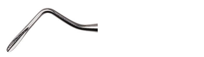 303 B Apical Blunt - Image 2