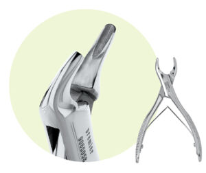 Premier C151 Mandibular Forceps