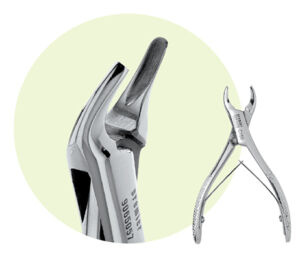 C150 Maxillary Forceps