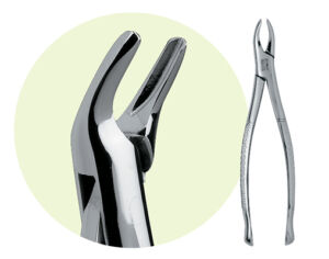 101 Maxillary Forceps