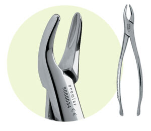 150S Maxillary Forceps