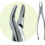 150S Maxillary Forceps