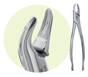 150 Maxillary Forceps