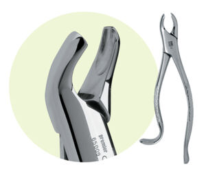 18L Maxillary Forceps