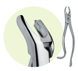 Premier 18R Maxillary Forceps