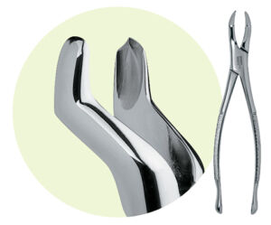 53L Maxillary Forceps