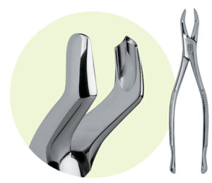 Premier 53R Maxillary Forceps