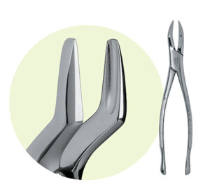 65 Mandibular Forceps