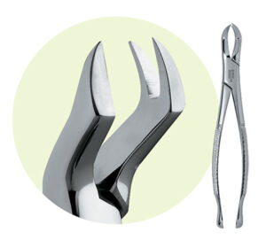 88L Maxillary Forceps