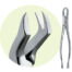 88L Maxillary Forceps