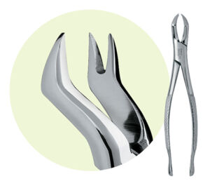 88R Maxillary Forceps