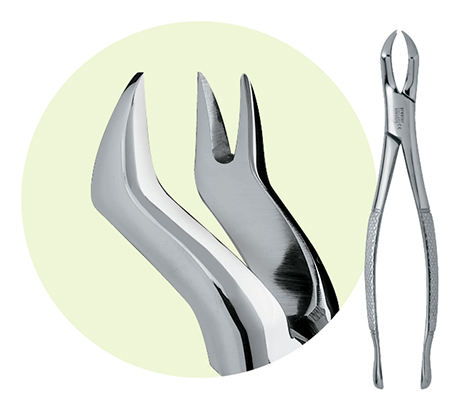 Dental Forceps Chart