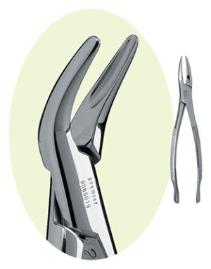 Premier 69 Root Forceps