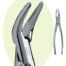 Premier 69 Root Forceps