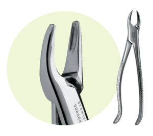 Premier 76S Root Forceps