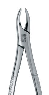 5.0.2 9065028 101 Maxillary Forceps