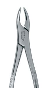 5.0.2 9065034 150S Maxillary Forceps