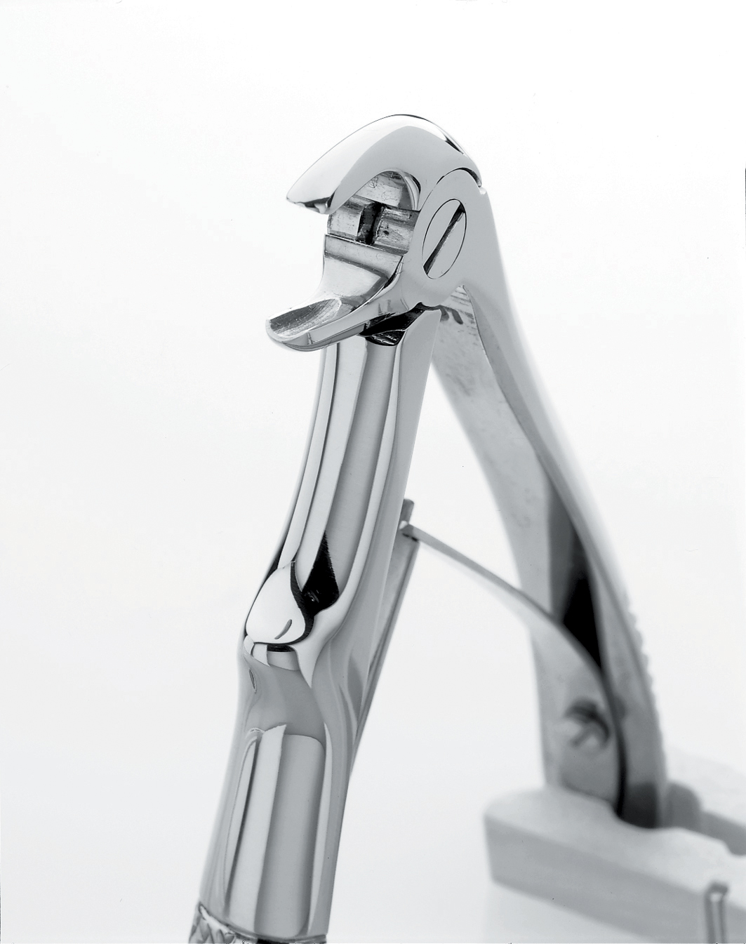 5.0.2 Product Image Alt Text