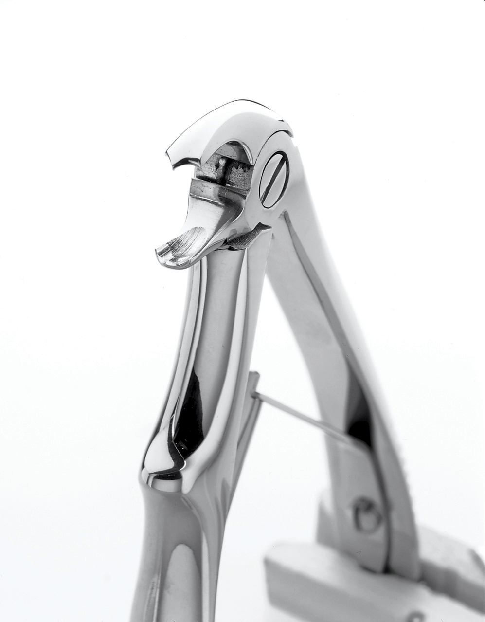 5.0.2 9065052 C2 Mandibular Forceps