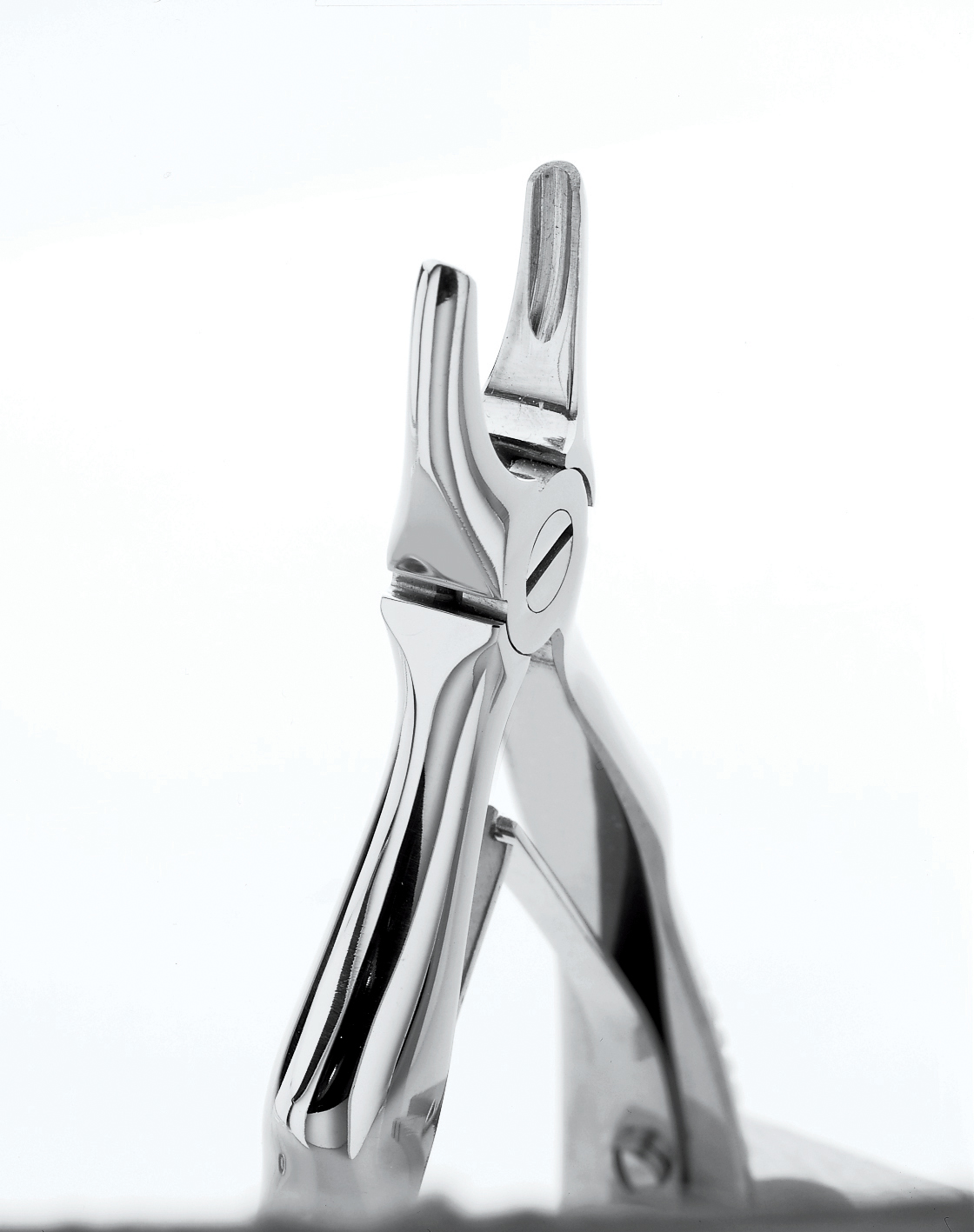 9065054 C4 Maxillary Forceps