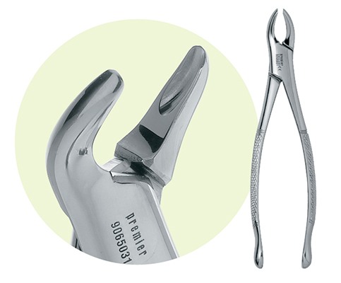 Dental Forceps Chart