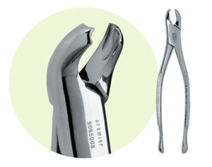 17 Mandibular Forceps