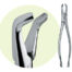 222 Mandibular Forceps