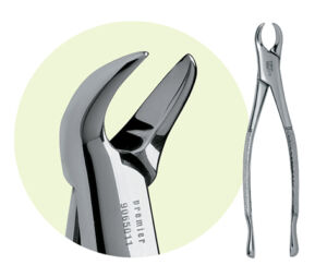 23 Mandibular Forceps