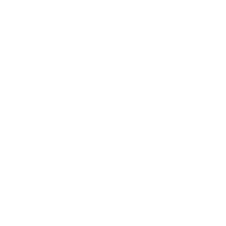 Premier Promise