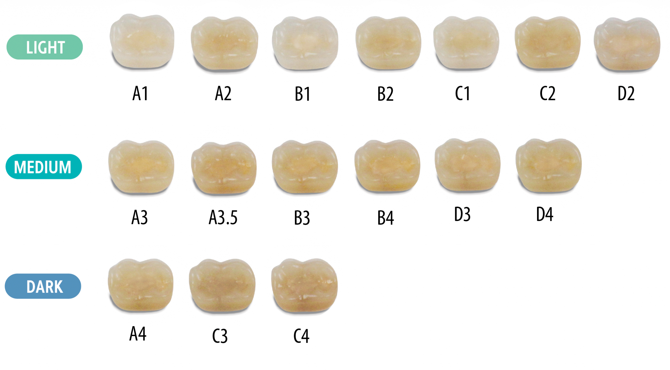 multimatch_teeth-shade-guide